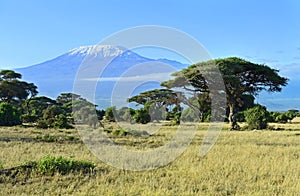 Mount Kilimanjaro