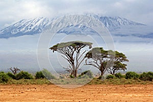 Mount Kilimanjaro