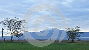 Mount Kilimanjaro at dawn