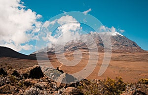 Mount Kilimanjaro, Moshi, tanzania