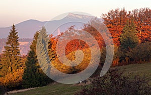 Mount Klak, Mala Fatra, Strazovske vrchy, Slovakia