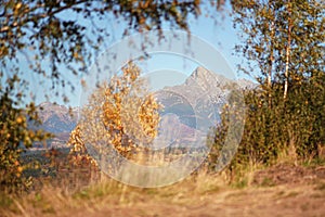 Mount Krivan peak Slovak symbol with blurred autumn coloured trees in foreground, Typical autumnal scenery of Liptov region,