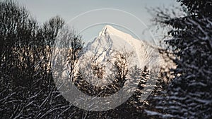 Mount Krivan peak - Slovak symbol - covered with snow on sunny day, blurred tree branches foreground