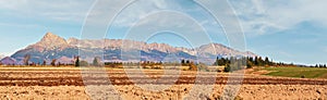 Mount Krivan peak Slovak symbol with dry autumn field in foreground, Typical autumnal scenery of Liptov region, Slovakia