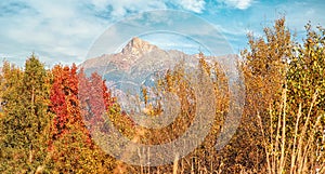 Mount Krivan peak Slovak symbol with out of focus autumn coloured trees in foreground, Typical autumnal scenery of