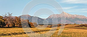 Mount Krivan peak Slovak symbol wide panorama with autumn harvested field and some trees in foreground, Typical autumnal scenery