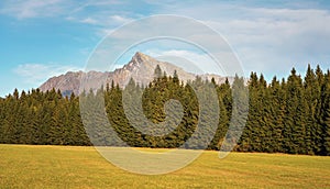 Mount Krivan peak Slovak symbol wide panorama with autumn meadow in foreground, Typical autumnal scenery of Liptov