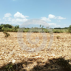 Mount Lawu, East Java