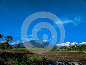 Mount Lawu, which is located on the border of East Java and Central Java, is one of the mountains frequently visited by climbers.