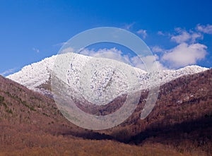 Mount leconte in snow in smokies