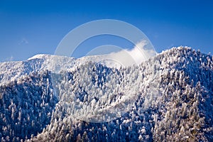 Mount leconte in snow in smokies