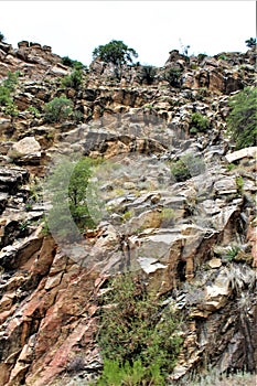 Mount Lemmon, Santa Catalina Mountains, Coronado National Forest, Tucson, Arizona, United States