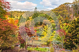 Mount Lofty autumn scene in South Australia