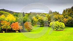 Mount Lofty botanic garden in Autumn