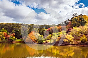 Mount Lofty park in autumn