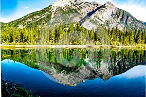 Mount Lorette and Skogan Peak relected in Mount Lorette Ponds Bow Valley Provincial Park.dng