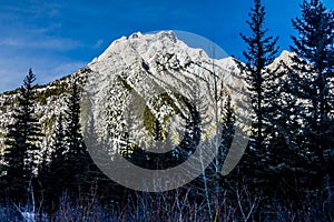 Mount Lorrett Ponds, Bow Valley Wilderness Area Area, Alberta, Canada