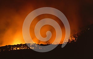 Mount Macedon Fire crews battle the bushfires on Ash Wednesday February 1986