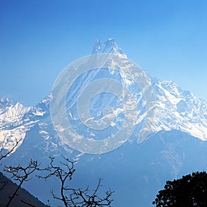 Mount Machhapuchhre blue colored photo