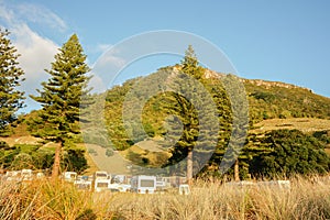 Mount Maunganui at sunrise with Norfolk Pine trees and backs of recreational vehicles of holiday-makers