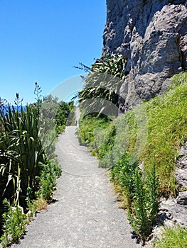 Mount Maunganui trail in Tauranga - New Zealand