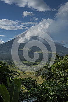Mount Mayon volcano in the Philippines