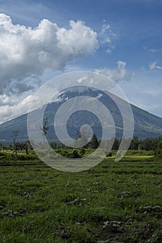 Mount Mayon volcano in the Philippines