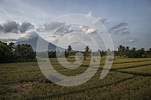 Mount Mayon volcano in the Philippines