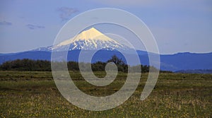 Snow-capped Mount McLoughlin Peak and Wildflowers photo