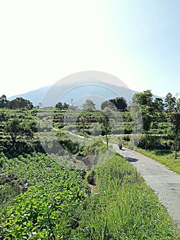 Mount merbabu in the morning