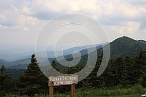 Mount Mitchell State Park Summit