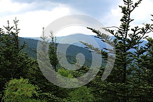 Mount Mitchell State Park View