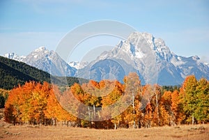 Mount Moran