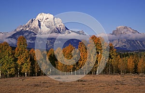 Mount Moran