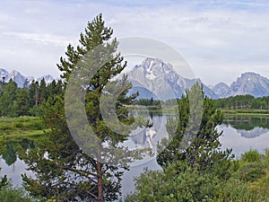 Mount Moran 2