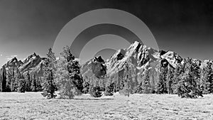 Mount Moran and Grand Teton in black and white