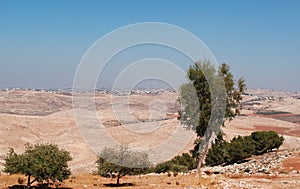 Mount Nebo, road, Jordan, Middle East, desert, landscape, climate change