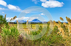 Mount Ngauruhoe, Manawatu-Wanganui, North Island, New Zealand, Oceania photo