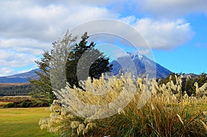 Mount Ngauruhoe, North Island, New Zealand