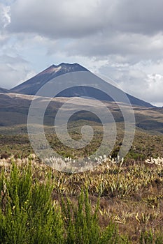 Mount Ngauruhoe seen from the border of the park
