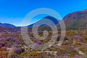 Mount Ngauruhoe at Tongariro national park in New Zealand