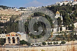 Mount of Olives in East Jerusalem