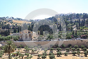 The Mount of Olives Landscape, Jerusalem