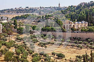 Mount of Olives and Shurch of All Nations.