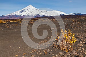 Mount Ostry Tolbachik, the highest point of volcanic complex on the Kamchatka, Russia.