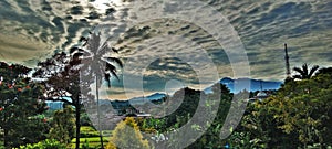 Mount Pangrango and Ricefield