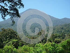 Mount pangrango view West Java