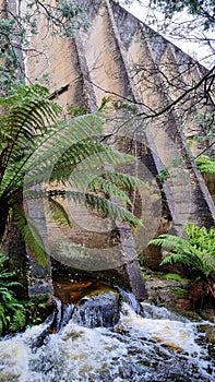 Mount Paris Dam Wall on the Cascade River Tasmania. In the Tasmanian bush with ferns and eucalypts