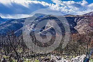 Mount Parnitha, in Attica region, Greece, after the bushfire that destroyed many of its forests