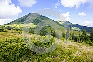 Mount Petros in the Carpathians